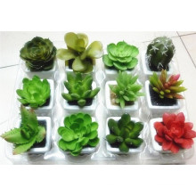 Lifelike High Quality Fake Artificial Succulent Plants Mini Bonsai With White Potted For Decoration